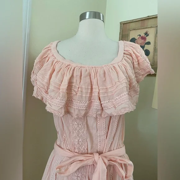 Free People X SPELL Cassie Lace gown in Petal Size XL - Picture 10 of 15